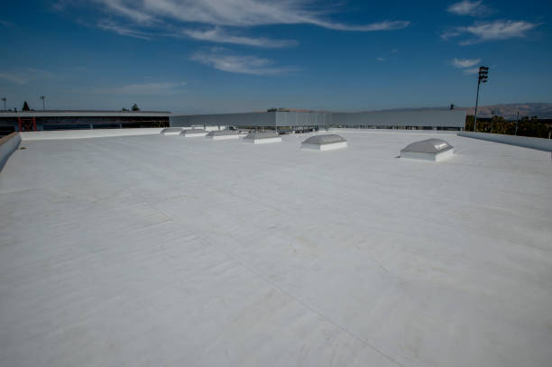 Best Roofing for New Construction  in Newaygo, MI