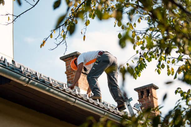 Best Roof Coating and Sealing  in Newaygo, MI