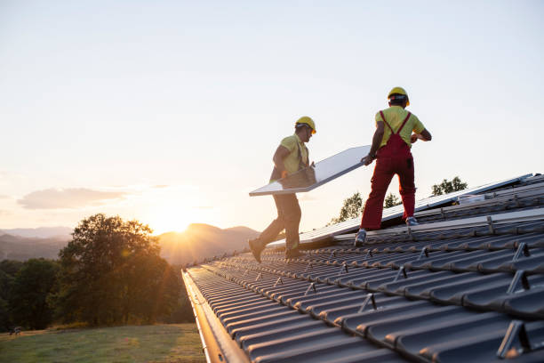Best Roof Maintenance  in Newaygo, MI