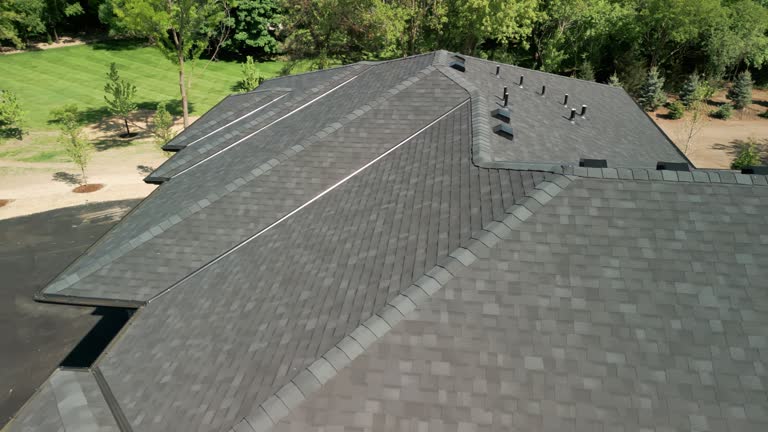 Best Skylight Installation and Repair  in Newaygo, MI