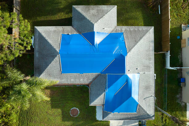 Best Roof Maintenance and Cleaning  in Newaygo, MI