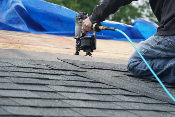 Best Metal Roofing Installation  in Newaygo, MI