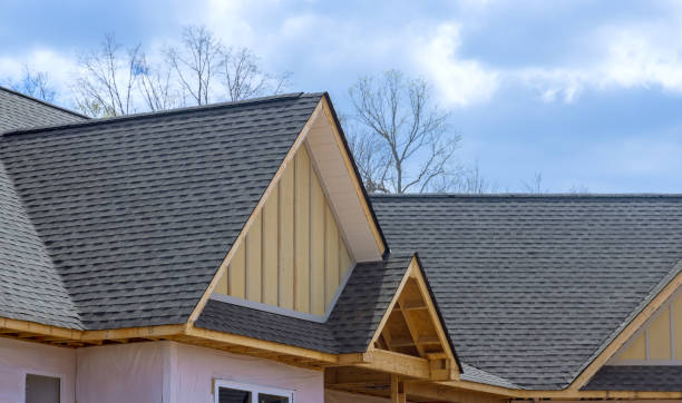 Best Sheet Metal Roofing  in Newaygo, MI