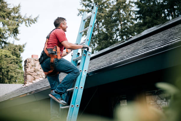 Best Rubber Roofing (EPDM, TPO)  in Newaygo, MI