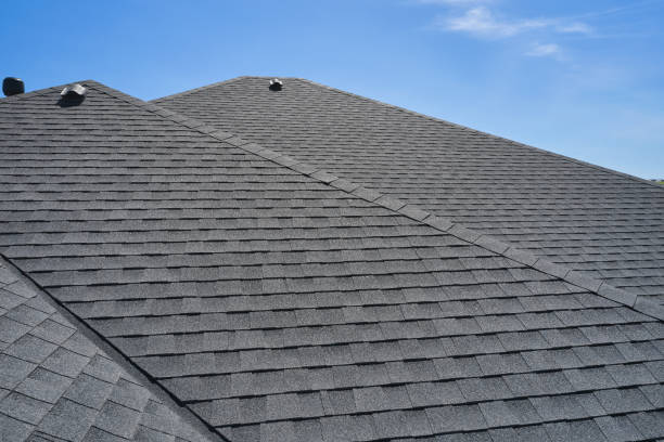Best Siding  in Newaygo, MI