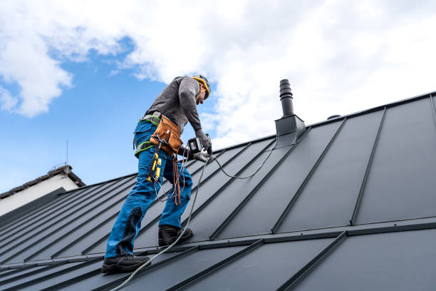 Best Roof Insulation Installation  in Newaygo, MI